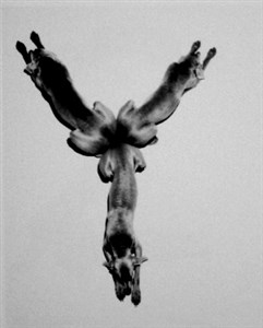 Image description is not available for 2001.083